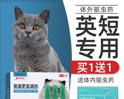 为什么我的猫咪流血（探究流血原因）