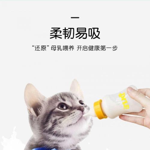 猫咪为什么喜欢奶嘴（探究宠物喜欢奶嘴的原因及如何选择适合的奶嘴）