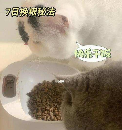 如何判断猫咪需要更换粮食（猫咪健康的重要性及换粮的正确方法）