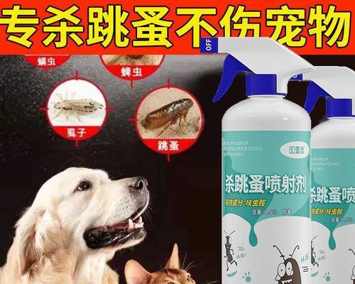 宠物猫咪的驱虫方法（如何保护猫咪免受寄生虫侵害）