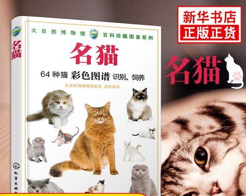 猫咪医学大百科（掌握猫咪健康知识）