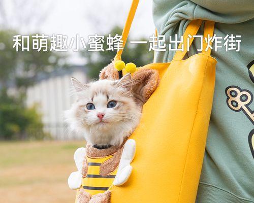 带宠物出国指南（从猫咪的角度出发）