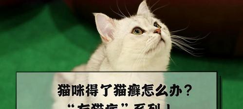 猫咪生病状况分析（如何观察猫咪生病症状）