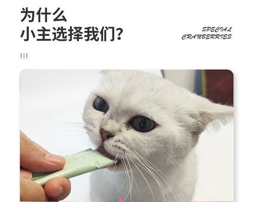 如何科学喂养宠物猫咪的湿粮（掌握这些技巧）