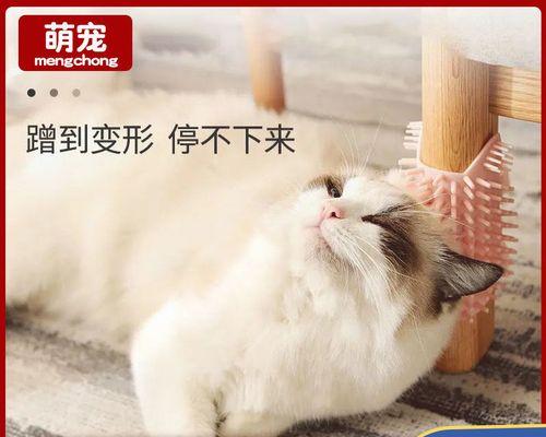 猫咪抓痒怎么办（以宠物为主）