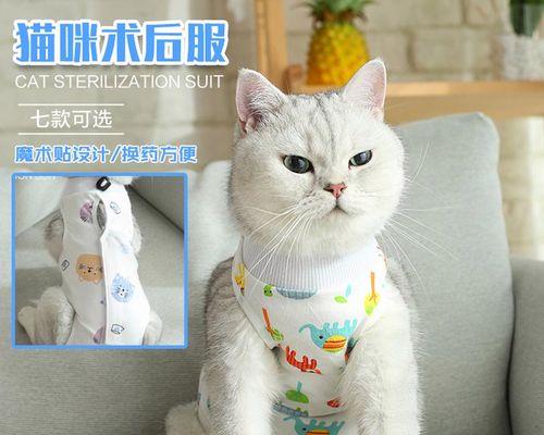 母猫添小猫全身，温情无限（宠物母爱）