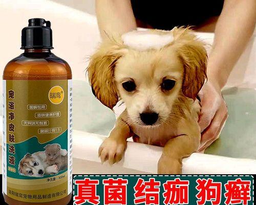 治疗宠物犬得病的药物推荐（以犬得病吃什么药）