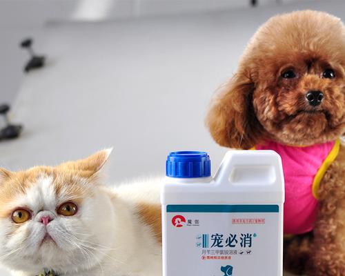 预防宠物犬瘟，选择正确的消毒方法（以犬瘟用什么消毒更有效）