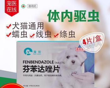 犬窝咳治疗指南（以宠物为主）