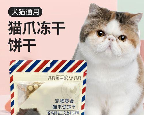 如何给你的猫咪增肥（宠物喂养指南）