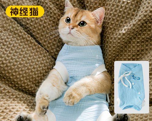 小猫掉毛原因与解决方法（宠物爱护指南）