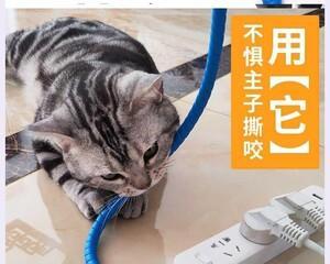 如何让宠物猫不咬电线（为您的家庭安全和宠物幸福着想）