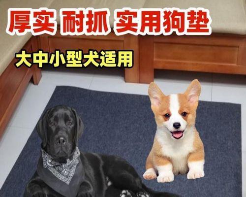 哪种犬抓猫最厉害（探究不同犬种对猫儿的捕猎能力）