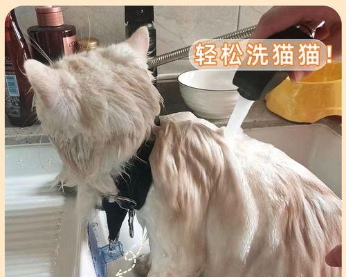 哪种犬抓猫最厉害（探究不同犬种对猫儿的捕猎能力）