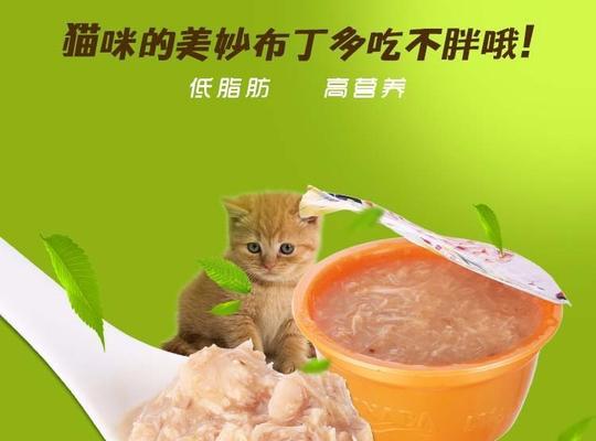 给宠物猫咪做营养美味的水煮鸡肉饭（爱猫人士必看）