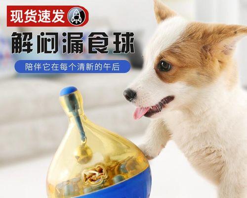 小狗怎么玩球（探秘宠物犬与球的互动乐趣）