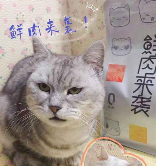 「小猫的肉食料理」（「探秘猫咪最爱的肉类食品）