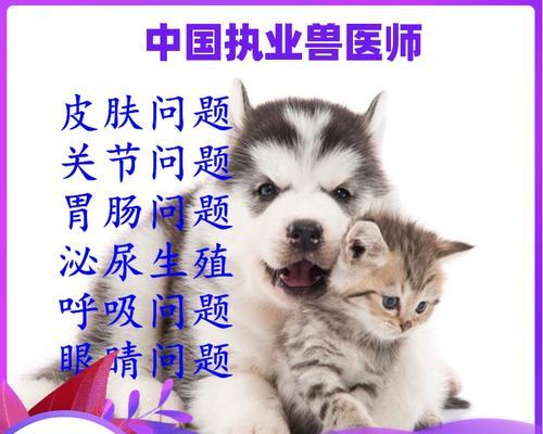 小猫肠胃出问题，如何给宠物正确护理（解析小猫肠胃问题的成因及有效治疗方法）