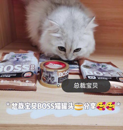 为什么小猫吃罐头更好（探讨罐头食品在宠物饮食中的优势）