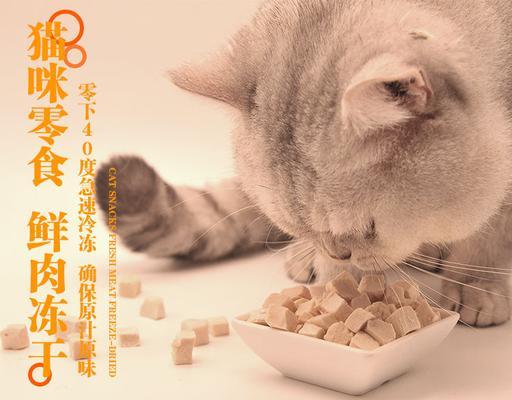 小猫肆意享用羊肉牛肉，宠物主人如何正确喂养（小猫食欲大增）