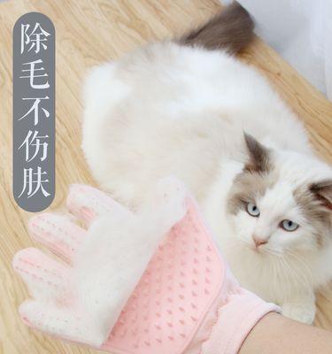 小猫的排便习惯（探究小猫几个月开始排便）