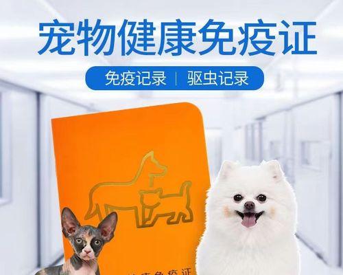 小猫狂犬病的症状及预防措施（宠物主人必读的预防指南）