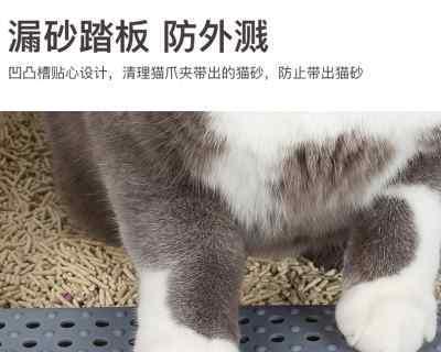 小猫猫砂盆太高影响猫咪健康（如何设置合适的猫砂盆高度）