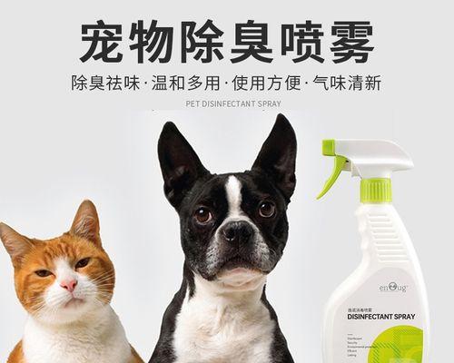 小猫的尿道在哪里（探究小猫的泌尿系统结构及相关问题）