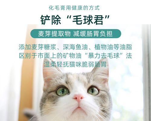 如何应对宠物小猫呕吐时的后退行为（宠物主人必看）