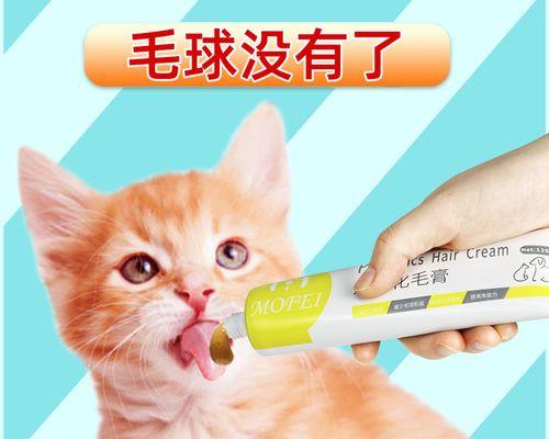 如何应对宠物小猫呕吐时的后退行为（宠物主人必看）