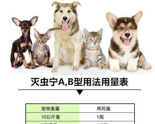 如何以小猫驱虫而不让它瘦下来（宠物健康的秘诀）