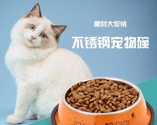 小猫的大小便之道（如何培养宠物小猫的大小便习惯）