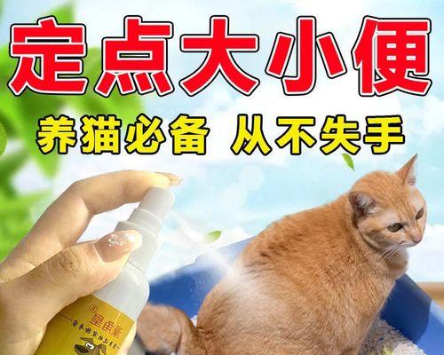 小猫尿尿的注意事项（宠物的健康需重视）