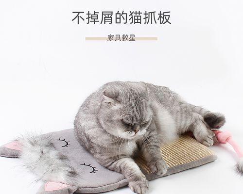 小猫死了，还有复活的可能吗（探究宠物死亡和复活的真相）