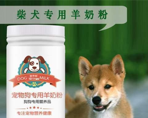 如何解决以柴犬食量小的问题（让宠物健康成长的方法和技巧）