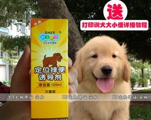 如何正确使用狗狗诱便液（以宠物为主）