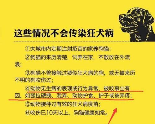 如何避免宠物狗感染狂犬病（关注以下几点）