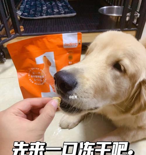 为什么狗粮那么臭（探究宠物食品的臭味问题）