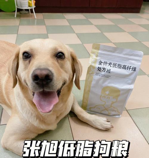 如何合理控制狗粮喂食量，让宠物体重更健康（以狗粮喂食量为基准）