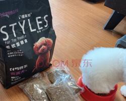 贵宾犬的饮食要点（如何选择适合贵宾犬的狗粮）