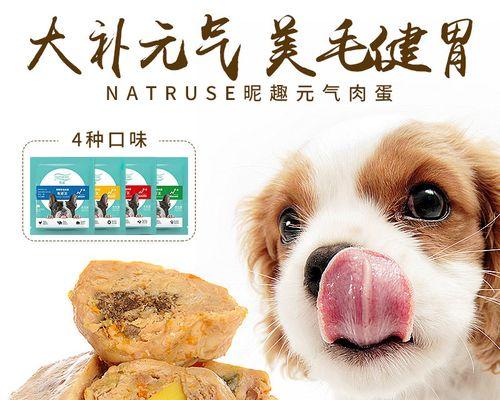 贵宾犬的饮食要点（如何选择适合贵宾犬的狗粮）