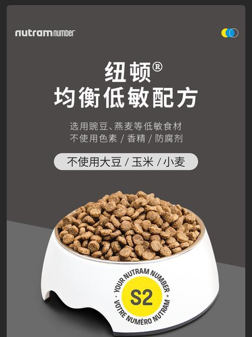 进口狗粮的优势（为宠物犬提供更优质的饮食）