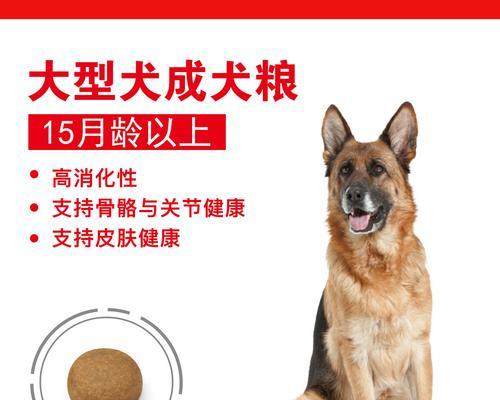 老年犬的最佳食物选择：如何为你的老伴挑选最好的狗粮？