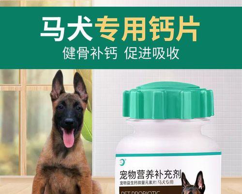 如何查询以马犬证书（以宠物为主）