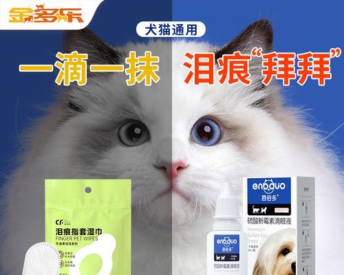 宠物爱猫必看，教你如何正确治疗猫鼻之炎（宠物爱猫必看）