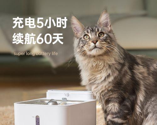 猫喝水温度的正确选择（从宠物健康角度出发的实用建议）