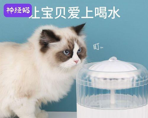 猫喝水温度的正确选择（从宠物健康角度出发的实用建议）