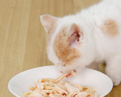 猫咪每日鸡肉摄入量详解（掌握宠物饮食规律）