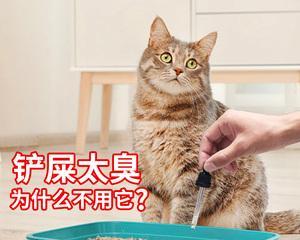 从猫砂里的便便看宠物健康（了解便便的颜色和质地）