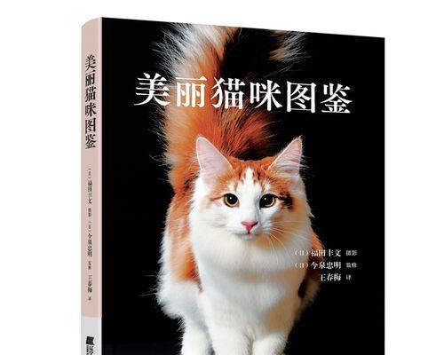 猫妈妈的禁忌——以猫生小猫后为例（宠物主人必看）